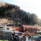 DSC_0848.JPG