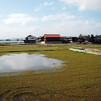 DSC_0960.JPG