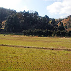 DSC_0975.JPG
