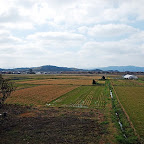 DSC_0987.JPG