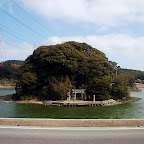 DSC_1007.JPG