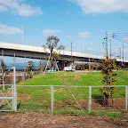 DSC_1014.JPG