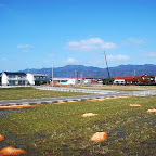 DSC_1036.JPG