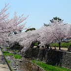 P1030244.jpg