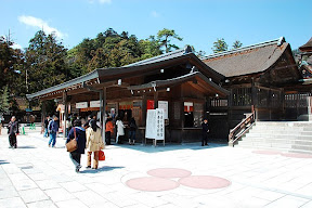 DSC_1133.JPG