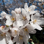 P1010152.jpg