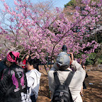 P1010143.jpg