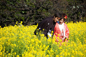 DSC_5706s.jpg