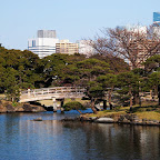DSC_5722.jpg