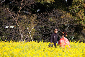 DSC_5698s.jpg