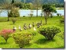 Natureza Natureza
