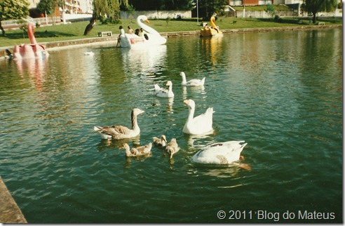 Le canards Le canards
