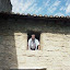 Avignon11.JPG