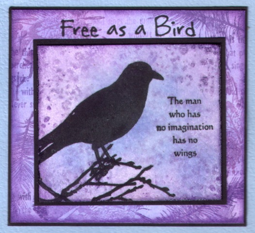 [free as a bird[5].jpg]