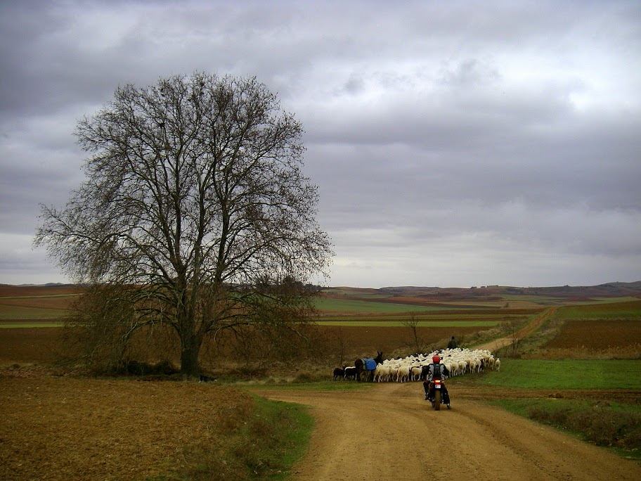 IMGP4882.JPG