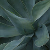 P2270004.JPG