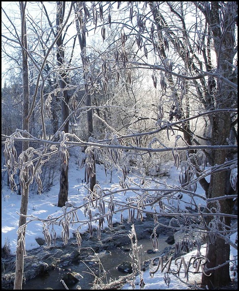 motljus-och-rimfrost. motljus-och-rimfrost.