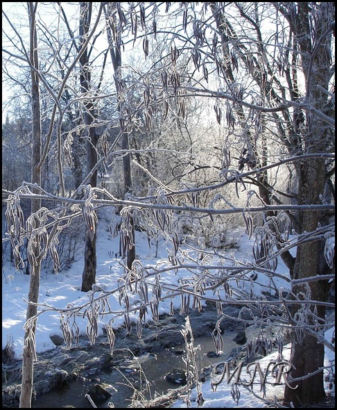 motljus-och-rimfrost.