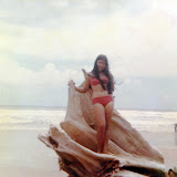Old Family Photos - Jaggernauth
