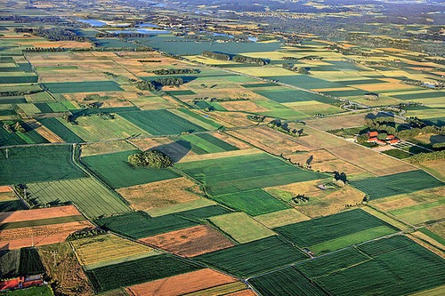 Agriculture