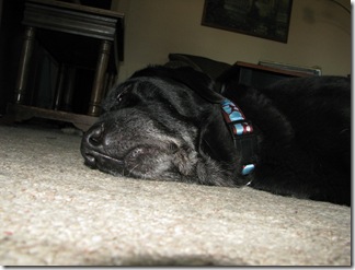 IMG_4527 IMG_4527