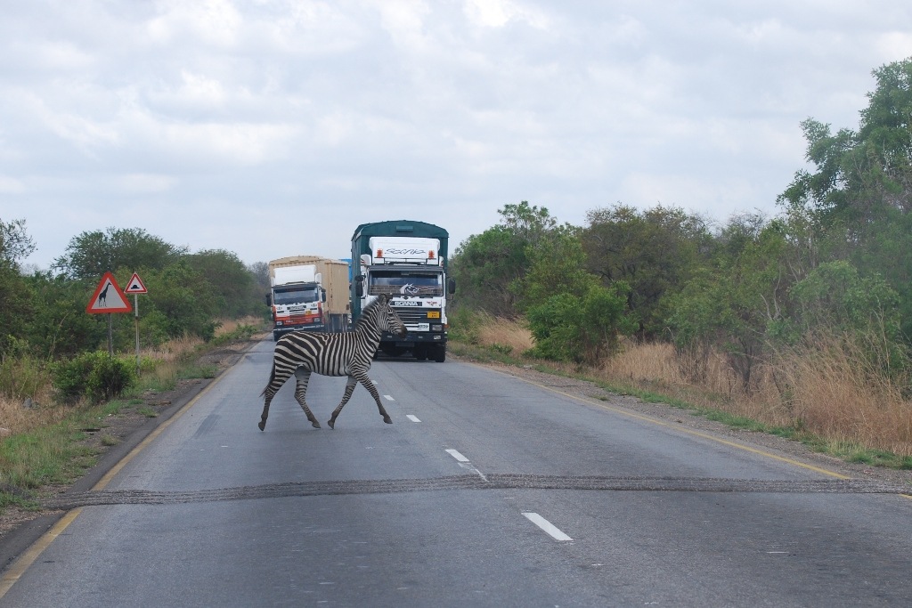 [Tanzania392.jpg]