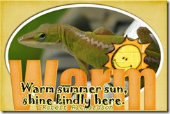cwooddell_warmsummerquote_qp1lizardWEB