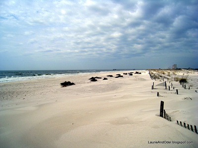Beach at Gulf Shores State Park