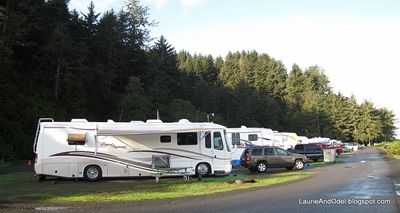 Windy Cove B, site 29, Winchester Bay