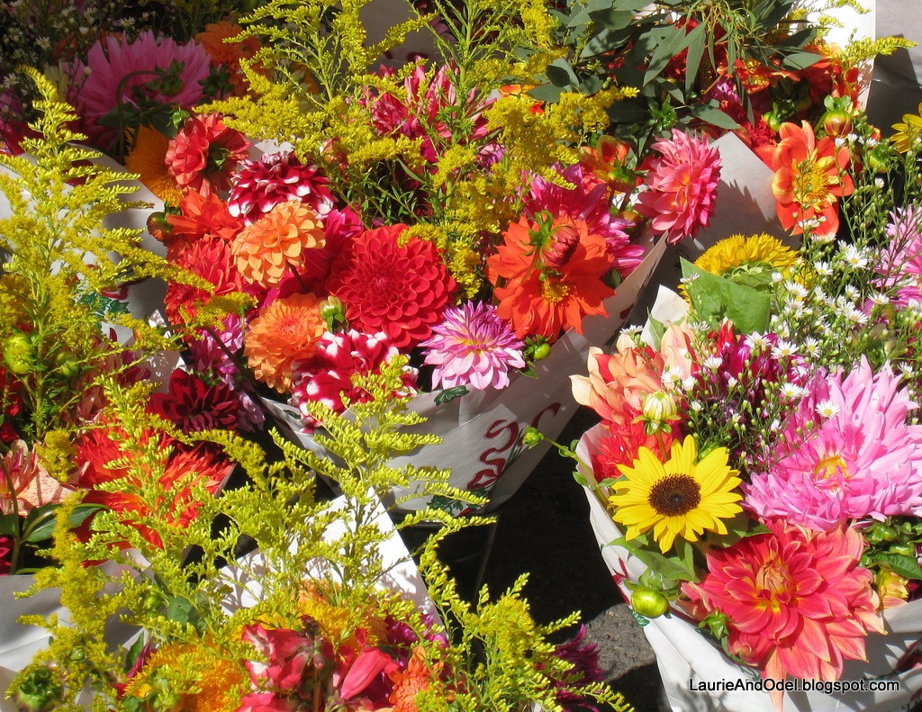 [Fall Flowers[9].jpg]