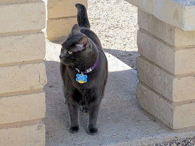 [Cute Luna[2].jpg]