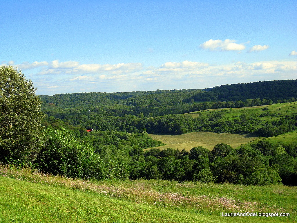 [Surrounding area[2].jpg]