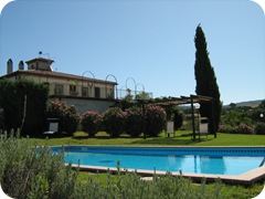 IMG_1131 IMG_1131