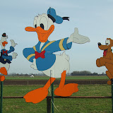 DSCF2457.JPG