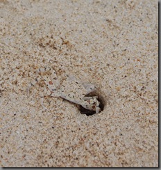 DSC_00040001 DSC_00040001