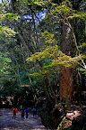 Wakakusa-yama trail