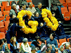 Cheerleaders