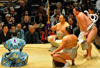 Hakuho wearing tsuna