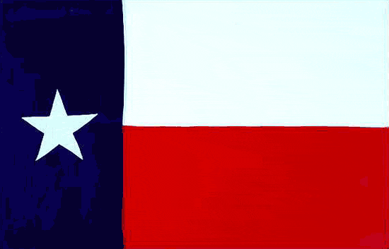[Texas-flag[2].gif]