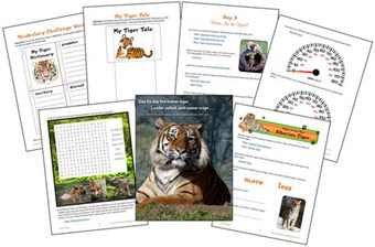 Terrific-Tigers-Spread