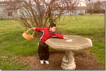 picture_or_video_403