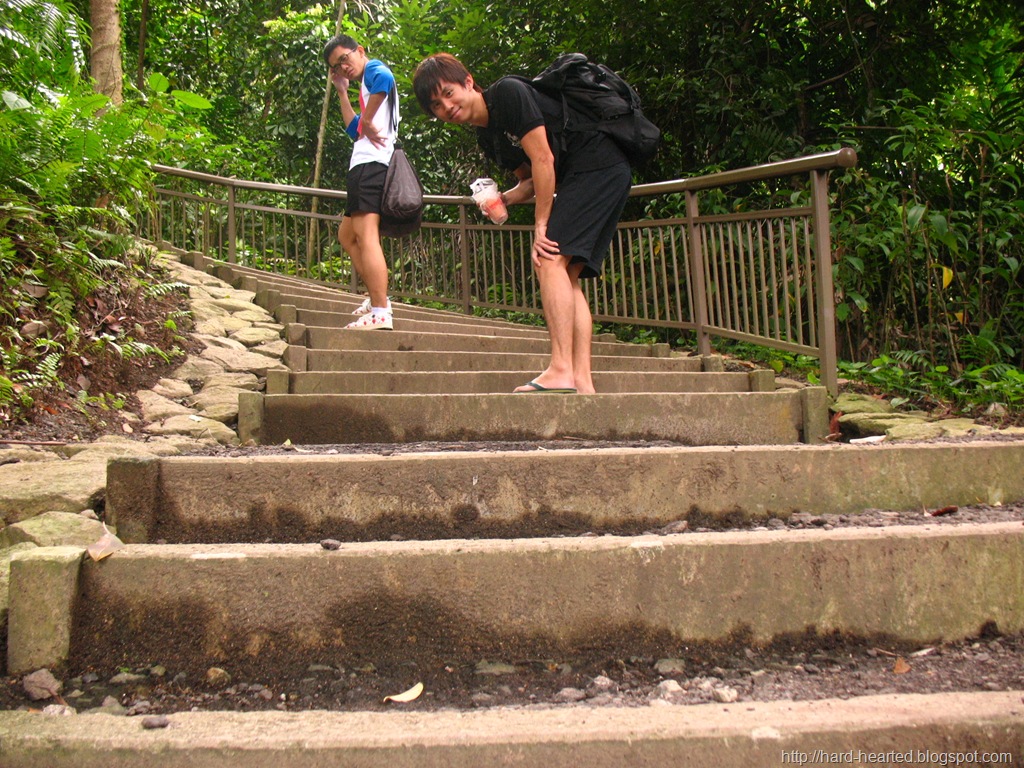 [IMG_00082.jpg]