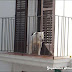 detail_788DSC04968.jpg