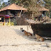 detail_1609DSC00246.jpg