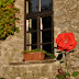 il convento 9-09 246.JPG
