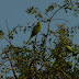 DSC00813.JPG