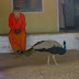 DSC00897.JPG
