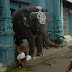 DSC00936.JPG