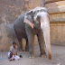 DSC01215.JPG