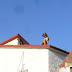 P1030840.JPG
